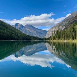 Meet your Posher, Janelle